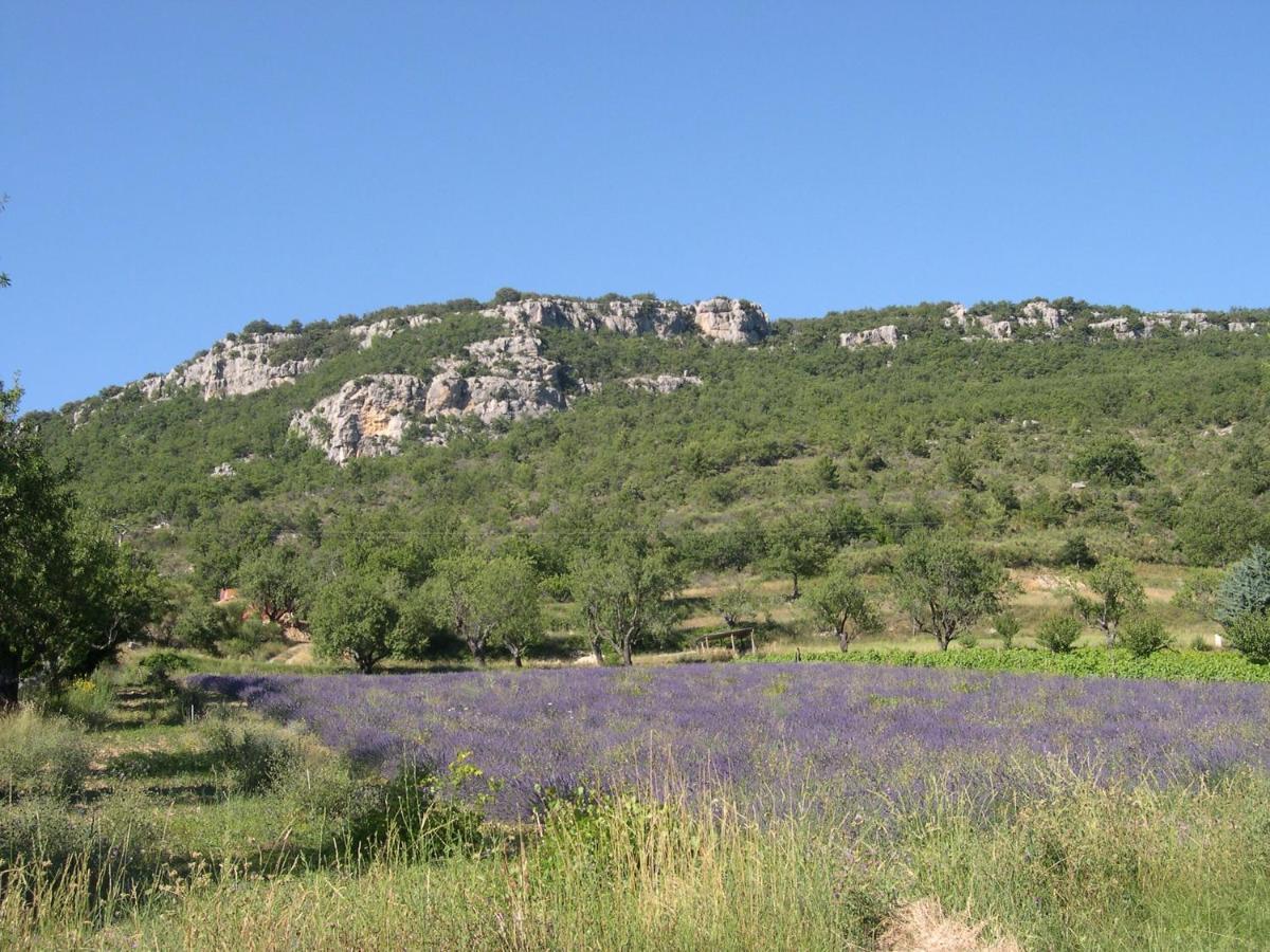 Domaine De Bois Joli Villa Buis-les-Baronnies Eksteriør bilde